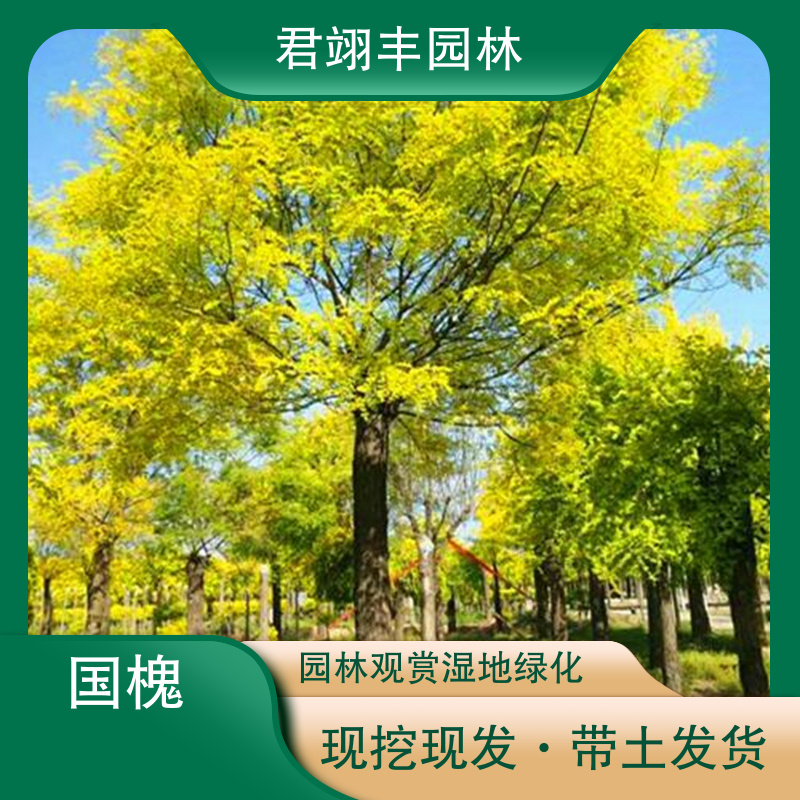 图7