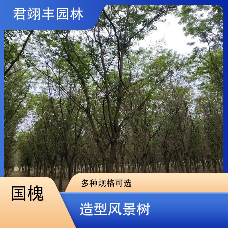 图6