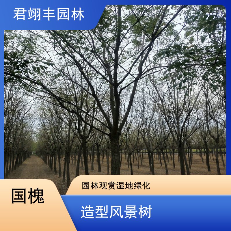 图8