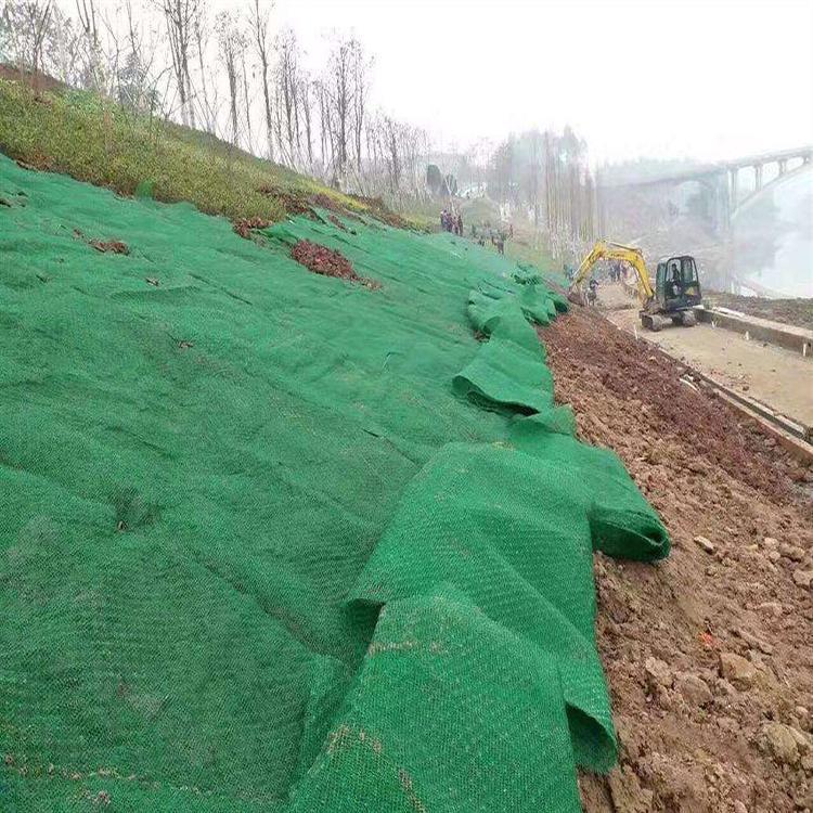 工程绿化用三维植被网 护坡植草园林绿化HDPE三维网