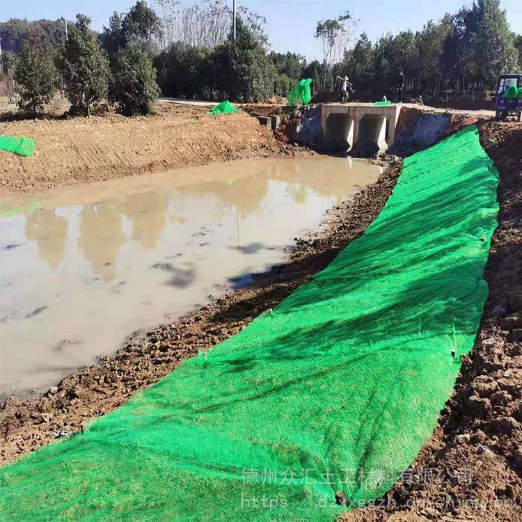 三维植被网 绿化种草坡道加固三维网垫 原生料土工网片现货
