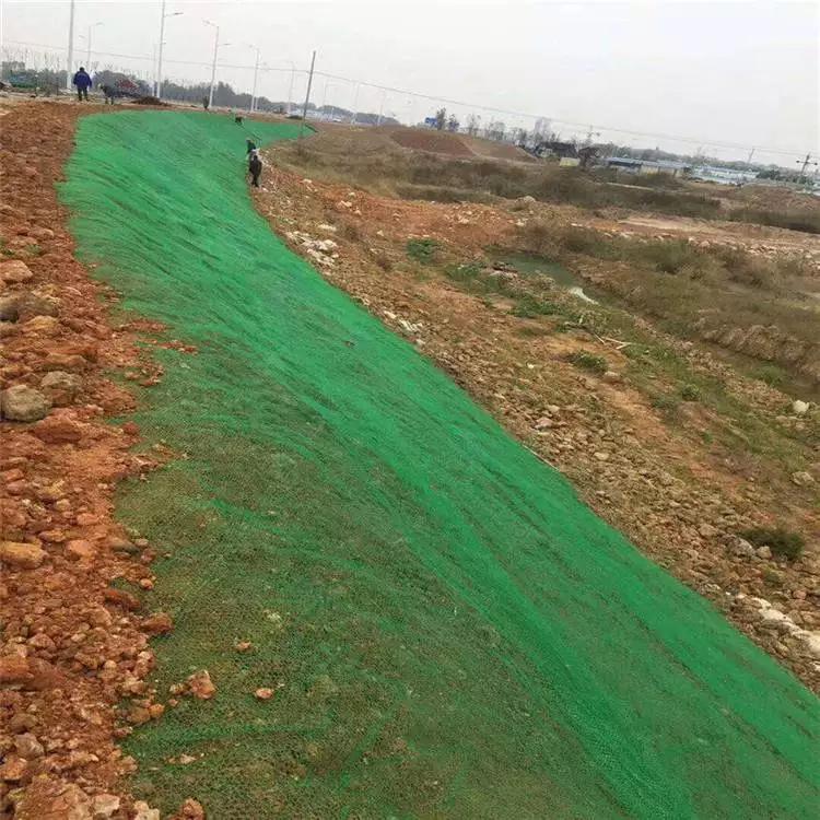 三维植被网 园林绿化固土土工网 四层全新料网垫 抗撕拉