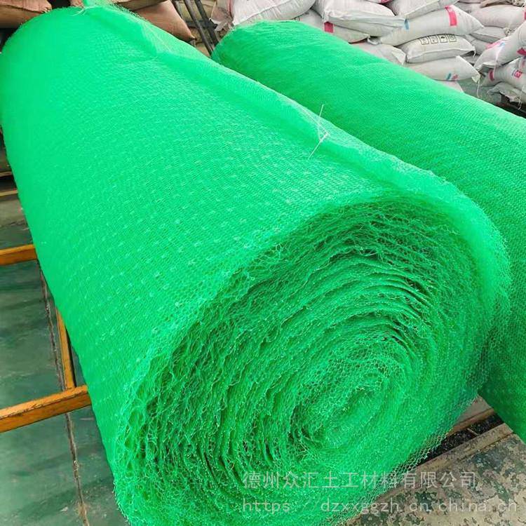 三维植被网喷播植草 土工网垫 护坡植草网 高速公路护坡网