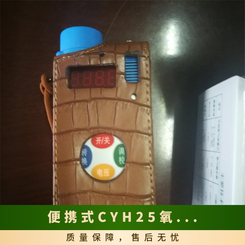 便携式CYH氧气测定器 井下气体测量范围(0-25)%