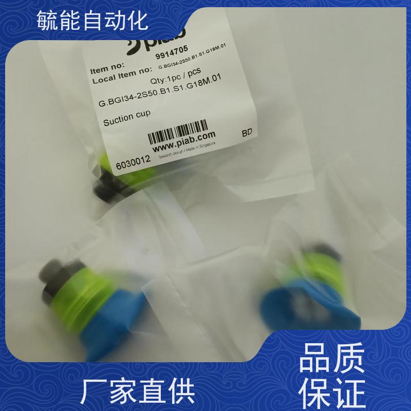 派亚博 吸盘G.BGI34-2S50.B1.S1.G18M.01