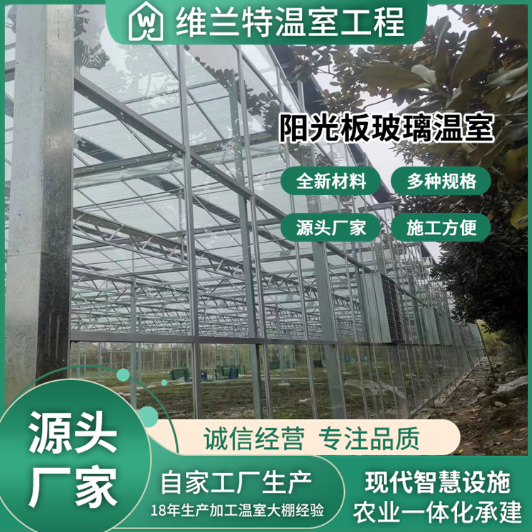 图6