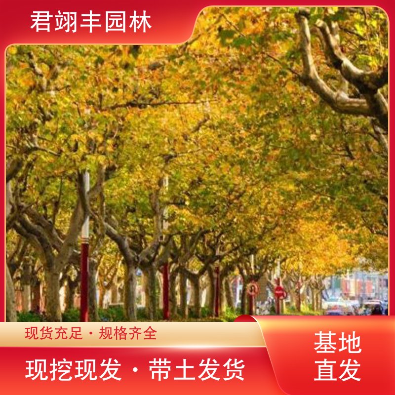 图6