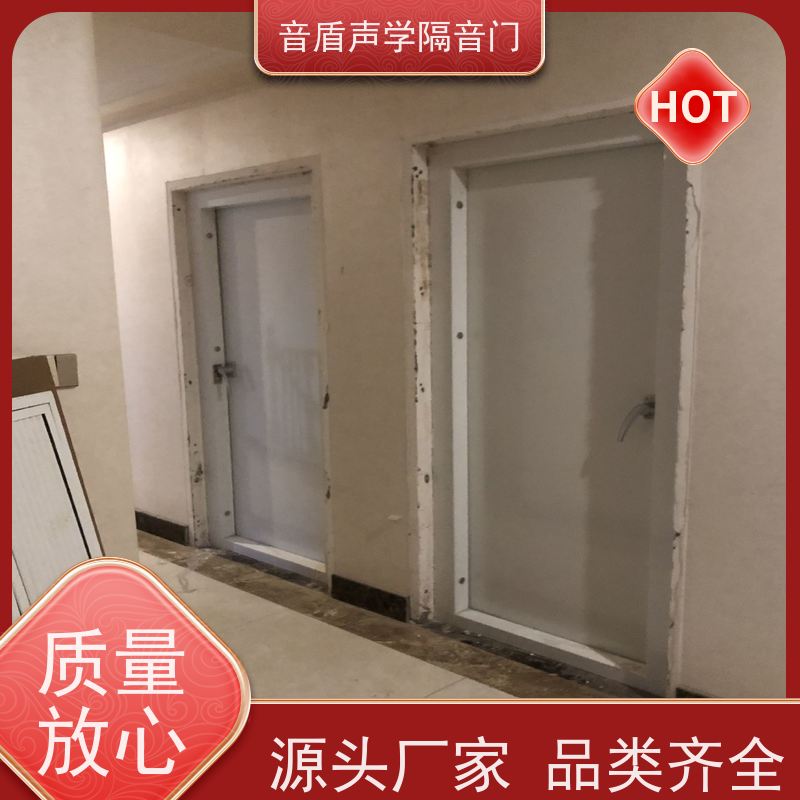 音盾科技 会议室 防火隔声门 全国 非标定制生产