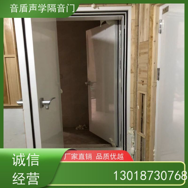 音盾科技 音乐教室 隔声门 品质保证 大型定制工厂