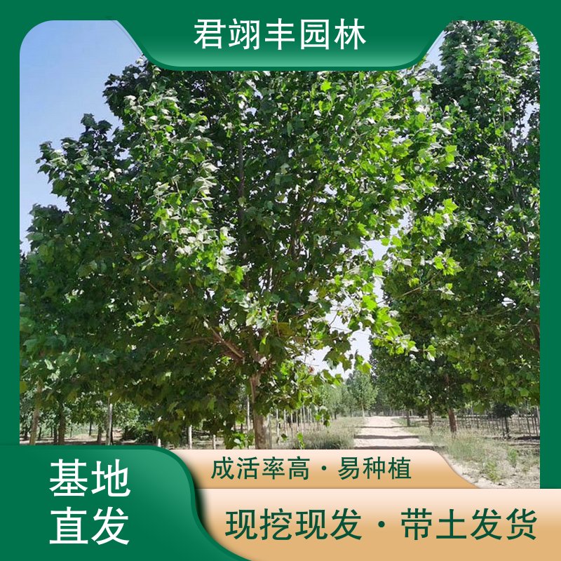图7