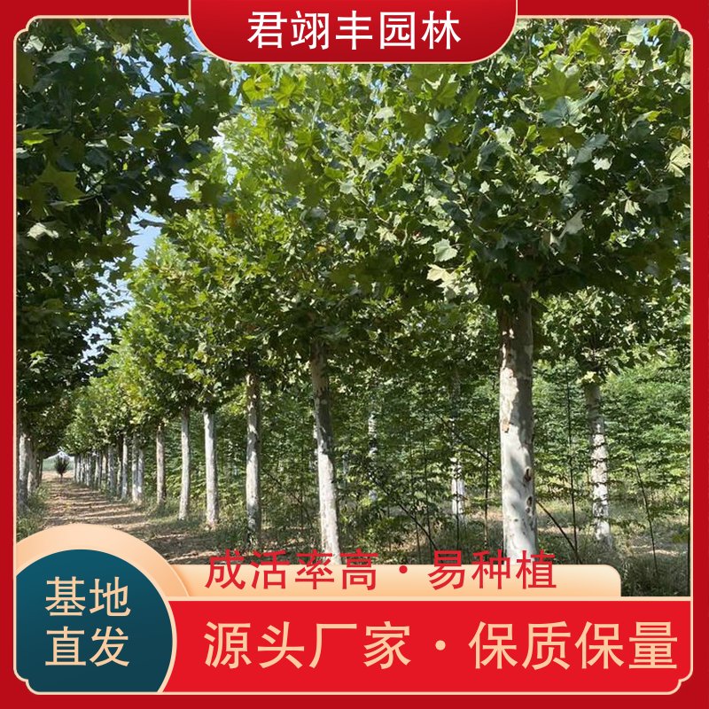 图8