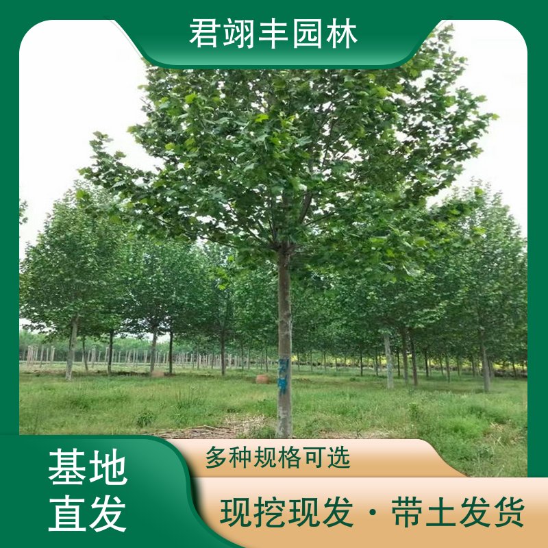 图9