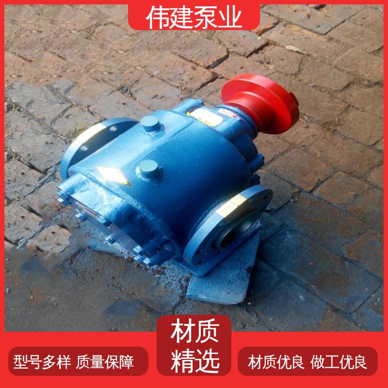 容积式转轮泵 性能稳定 多种形式安装 伟建供应