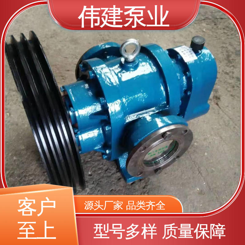 运行可靠 LC减速机罗茨泵 规格齐全 润滑油脂沥青输送 伟建供应
