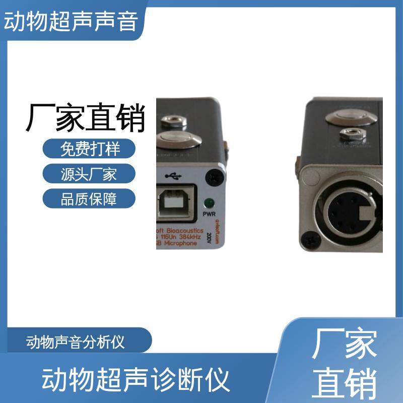 德国Avisoft 超声波检查仪 输入阻抗 50 kΩ 厂家制造供应