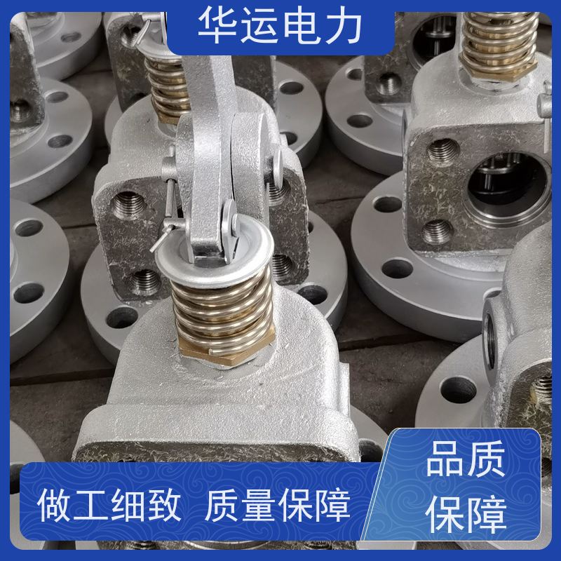 蒸汽吹灰器 阀门组件DN65 C304 克莱德系列备件
