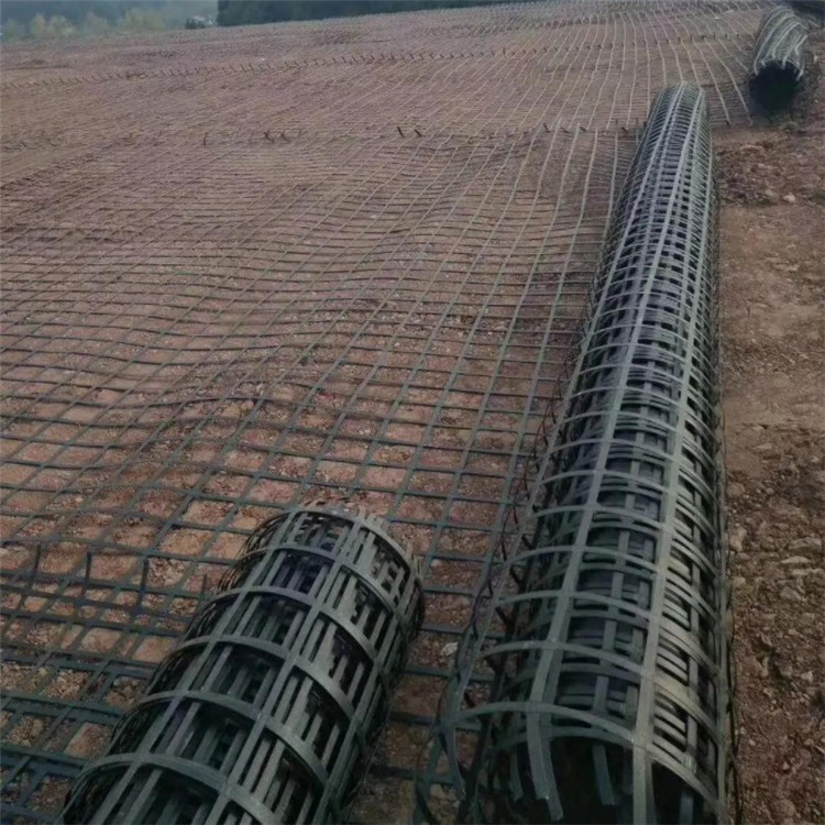 高强钢塑土工格栅 道路路基加固山体防护用 色彩亮丽