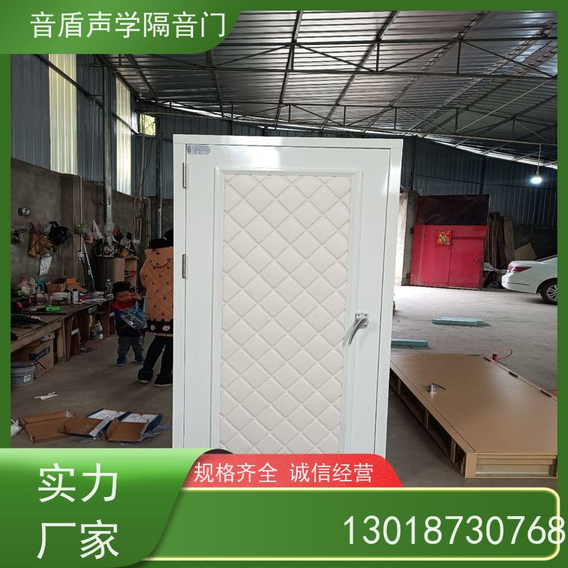 音盾科技 机房 防火隔声门 值得信赖 生产批发厂家
