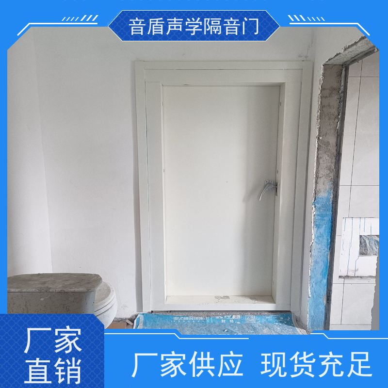 音盾科技 钢琴房 静音门 品质保证 生产批发厂家