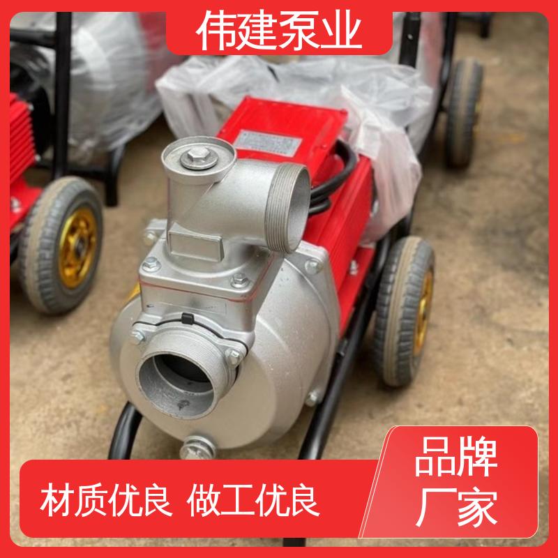 伟建生产 规格齐全 涂料油漆输送用 无泄漏效率高 LC50皮带轮罗茨泵
