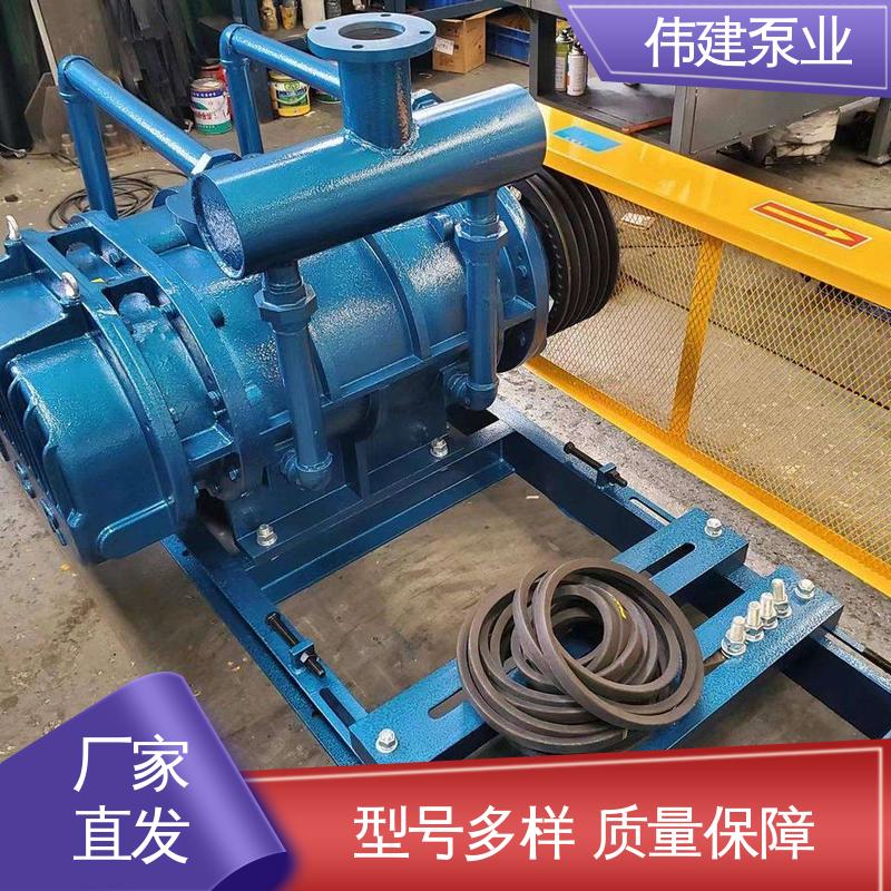 规格齐全 运行可靠 化工产品输送用 罗茨油泵 伟建供应