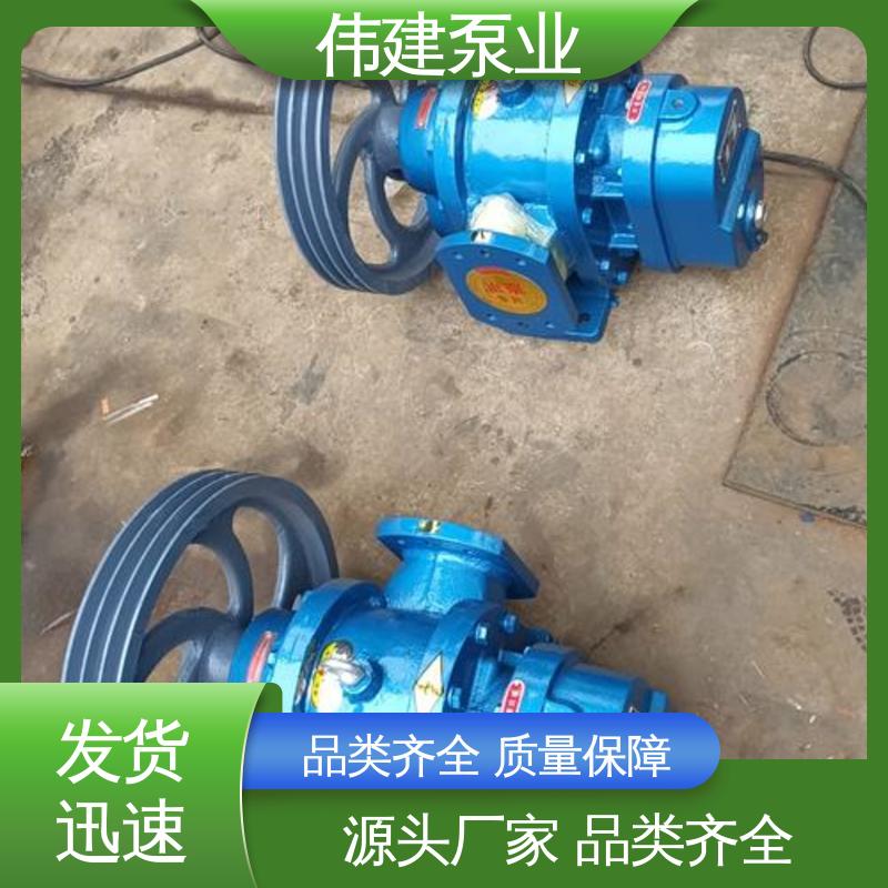 高流量 硬齿面泵 支持定制 煤焦油稠油用 伟建供应