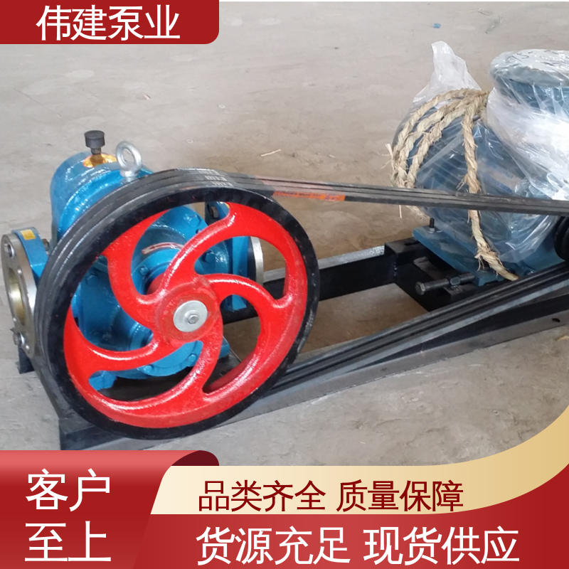 化工产品输送用 LC50皮带轮罗茨泵 支持定制 无泄漏效率高 伟建生产