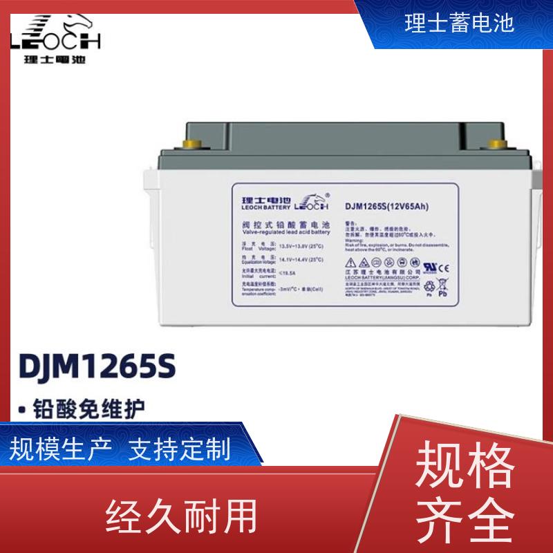 理士代理商 DJM1265S ups专用机房应急电源 安装维护保养
