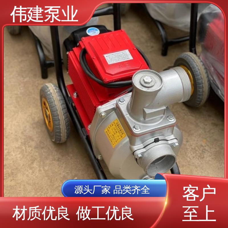 伟建生产 化工产品输送用 LCX罗茨泵 支持定制 无泄漏效率高 