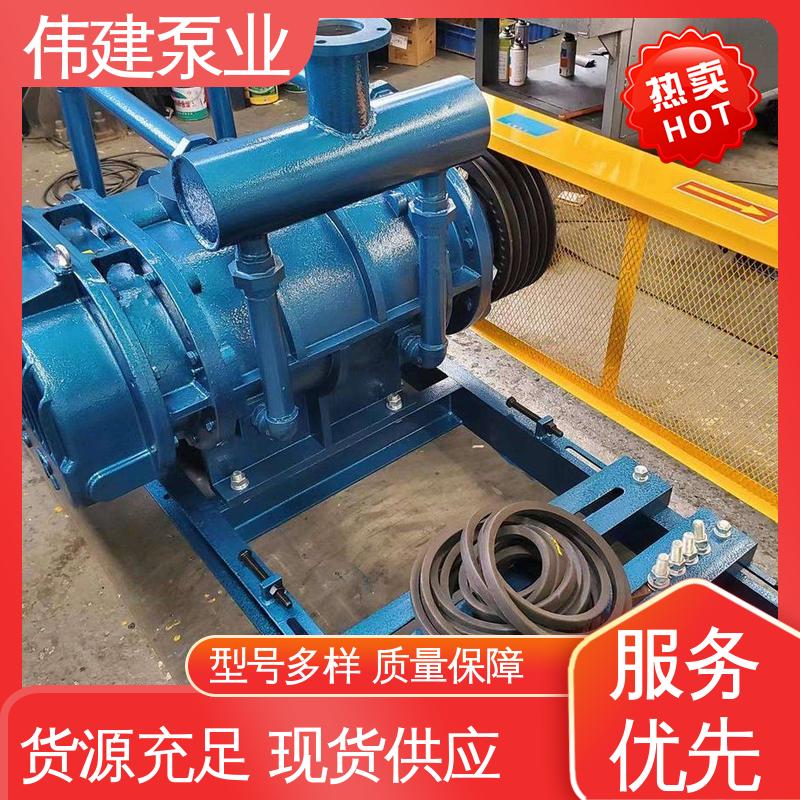 伟建生产 规格齐全 高粘度泵 运行可靠 化工产品输送用