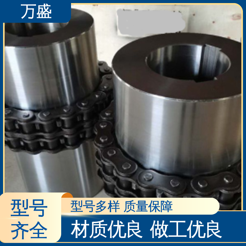 GLF10 球磨机专用 滚子链条联轴器 适应高速 万盛