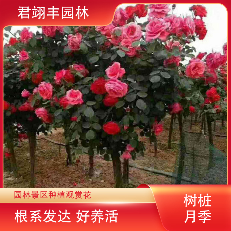 图6