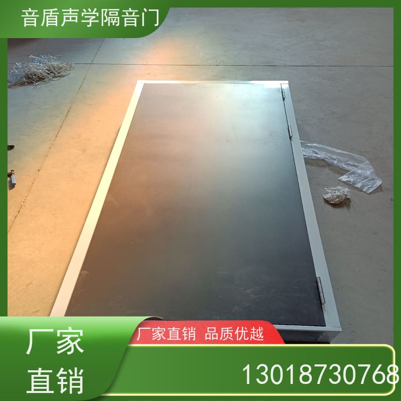 音盾科技 音乐教室 防火隔声门 品质保证 品牌定制生产