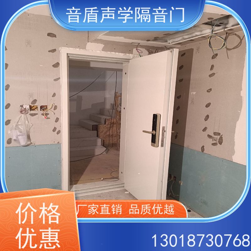 音盾声学 架子鼓房 防火隔音门 品质保证 款式齐全