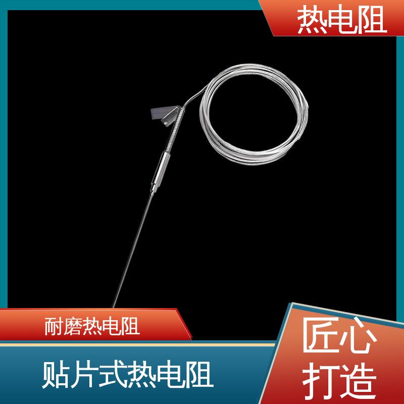 天康 WZP-130 铠装热电阻 安装方便 实力厂家 支持定制