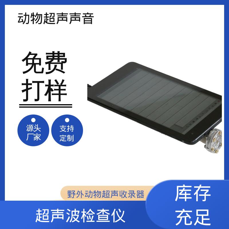 德国Avisoft 通道超声波 输入阻抗 50 kΩ 规模生产 支持定制