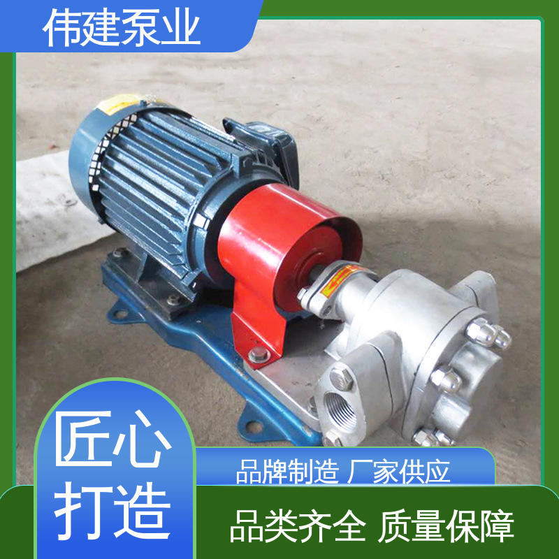 机油柴油液运输用 耐磨性能好 规格齐全 不锈钢齿轮泵 伟建生产