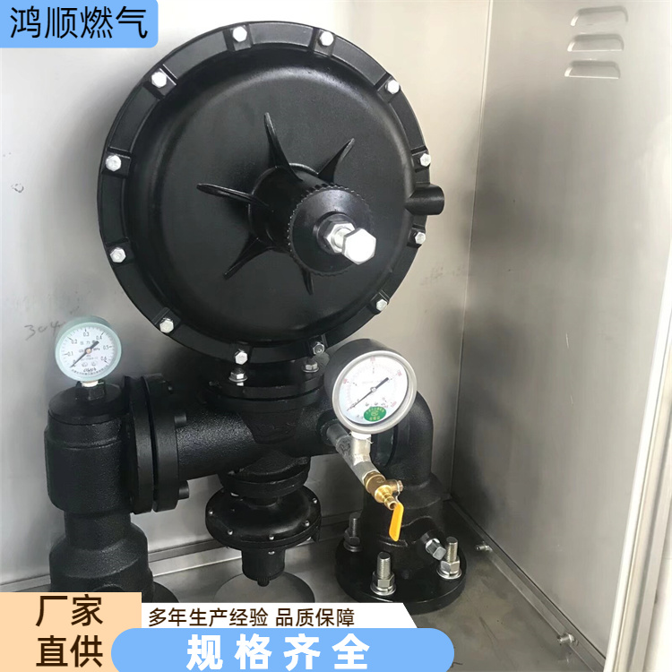 鸿顺 厂家 工业炉窑燃气调压器 性能稳定易安装 按需定制