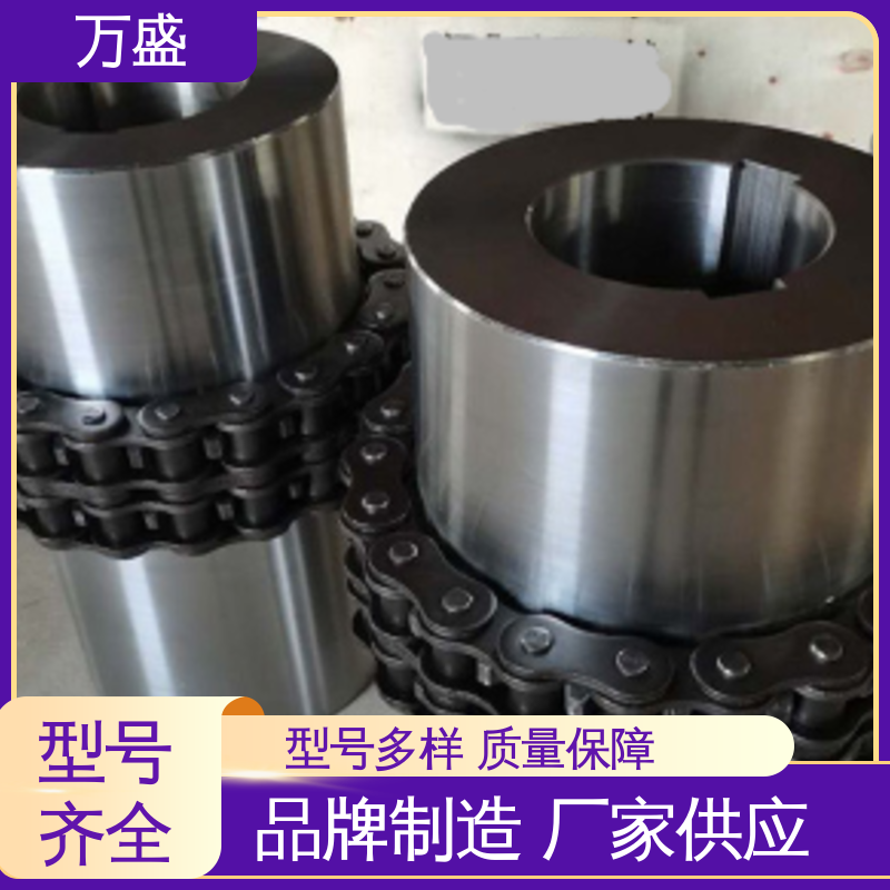 GLF14 泵专用 维护成本低 轻型滚子链联轴器 万盛