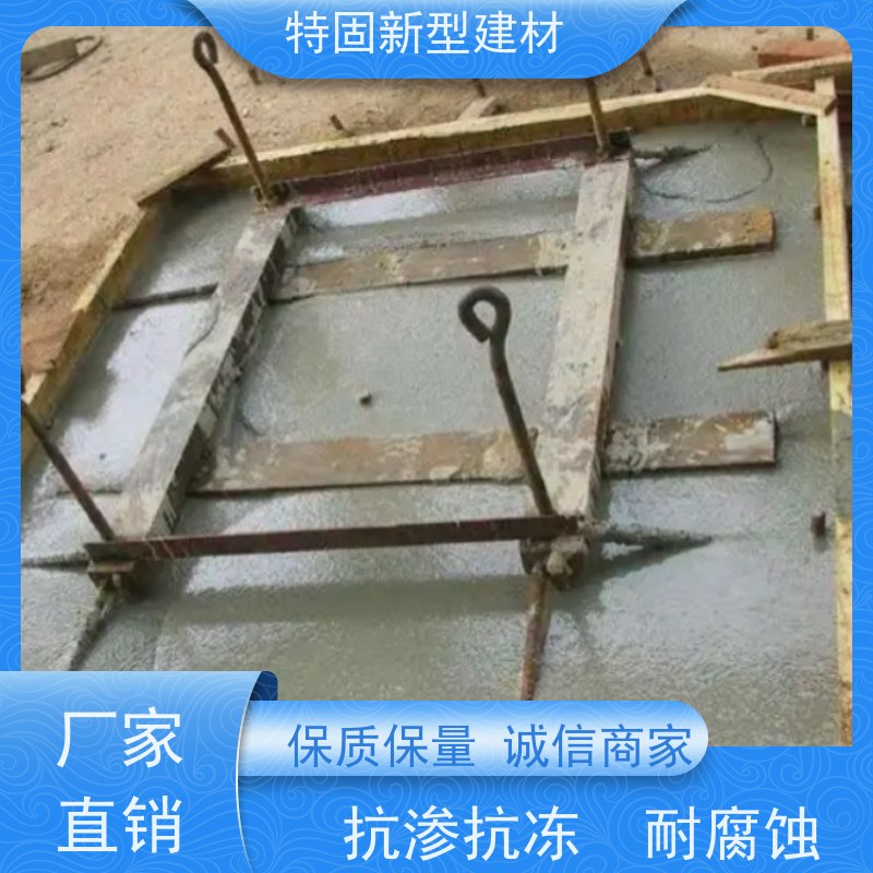 特固 设备基础安装灌浆料 抗渗抗冻 耐腐蚀 厂家供应