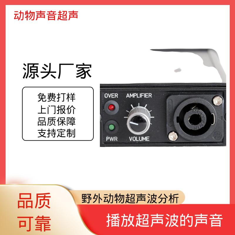 德国Avisoft 动物声音超声波播放器 85x35 x190 mm 实力厂家 品质优越