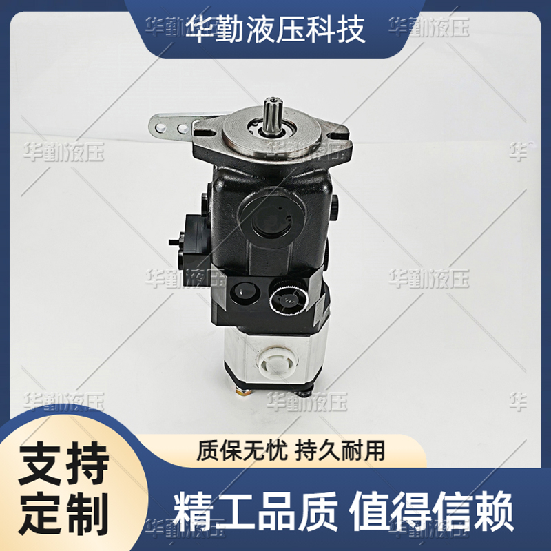 双向柱塞变量泵 规格齐全 质量持久耐用，产品精工制造 TOMIW液压