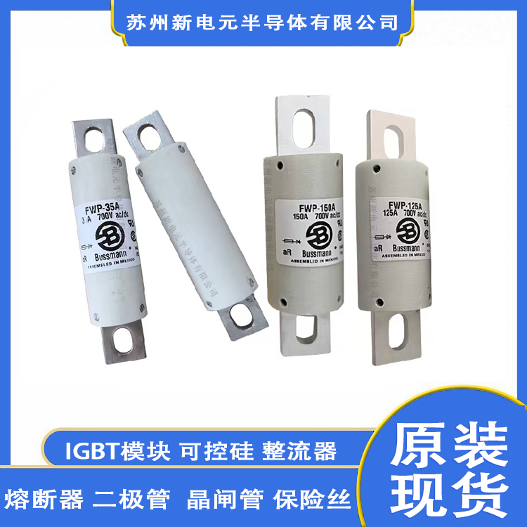 170M3069 可控硅/晶闸管 BUSSMANN 封装保险丝标准封装 批号24+