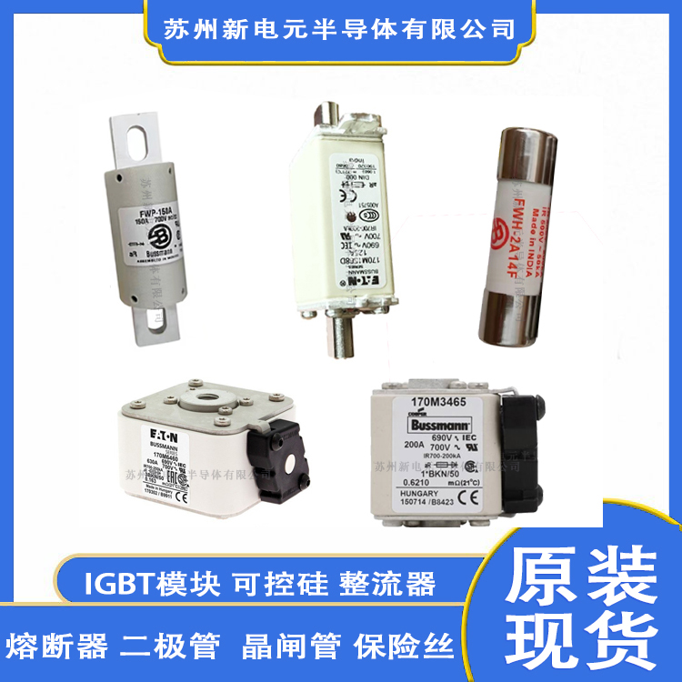 170M3069 可控硅/晶闸管 BUSSMANN 封装保险丝标准封装 批号24+