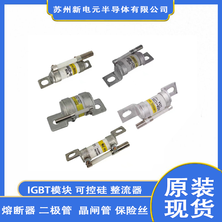 170M3069 可控硅/晶闸管 BUSSMANN 封装保险丝标准封装 批号24+