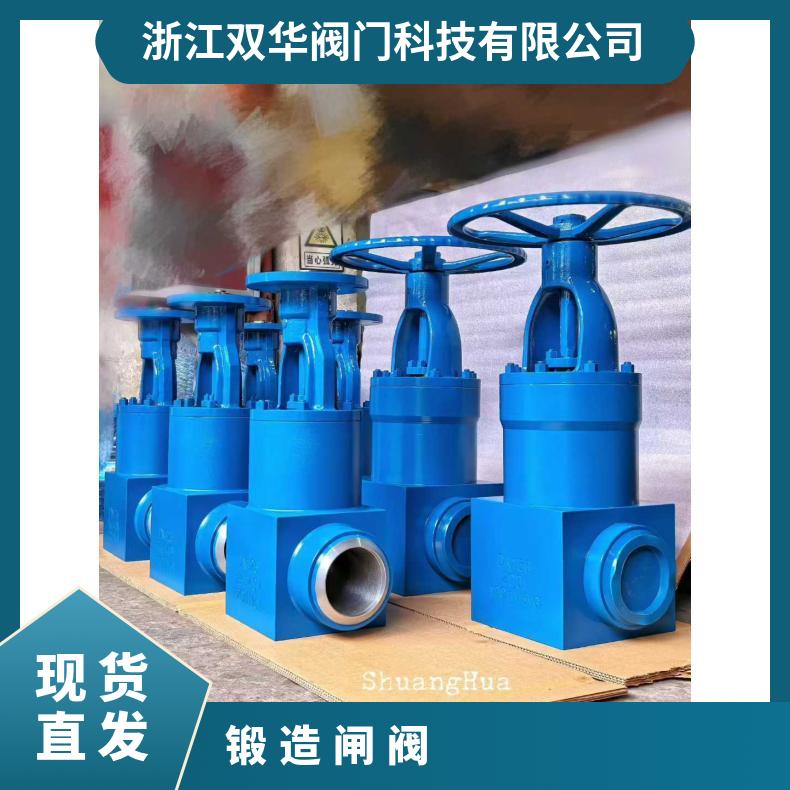 锻造闸阀 适用压力≤42MPa 精准定位 耐用可靠 高温高压规格齐全直发