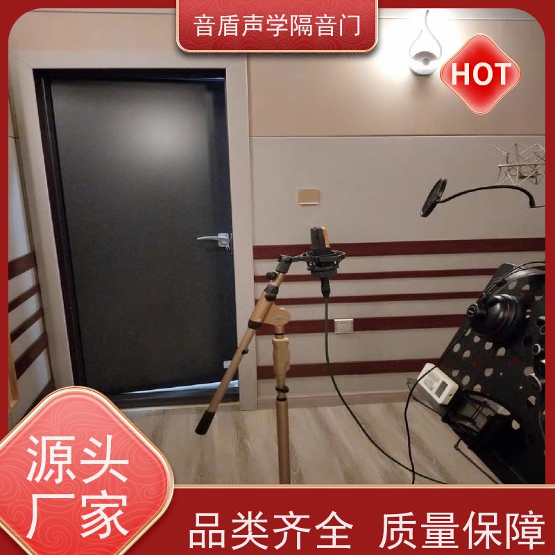 音盾声学 音乐教室 隔声门 品质保证 定制生产厂家
