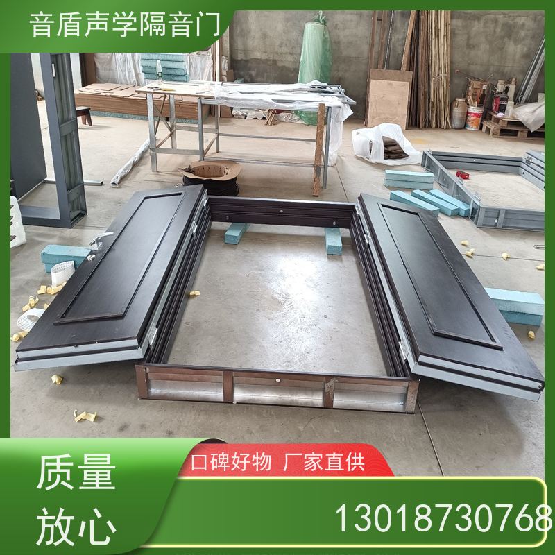 音盾声学 专用 防火隔声门 品质保证 生产批发厂家