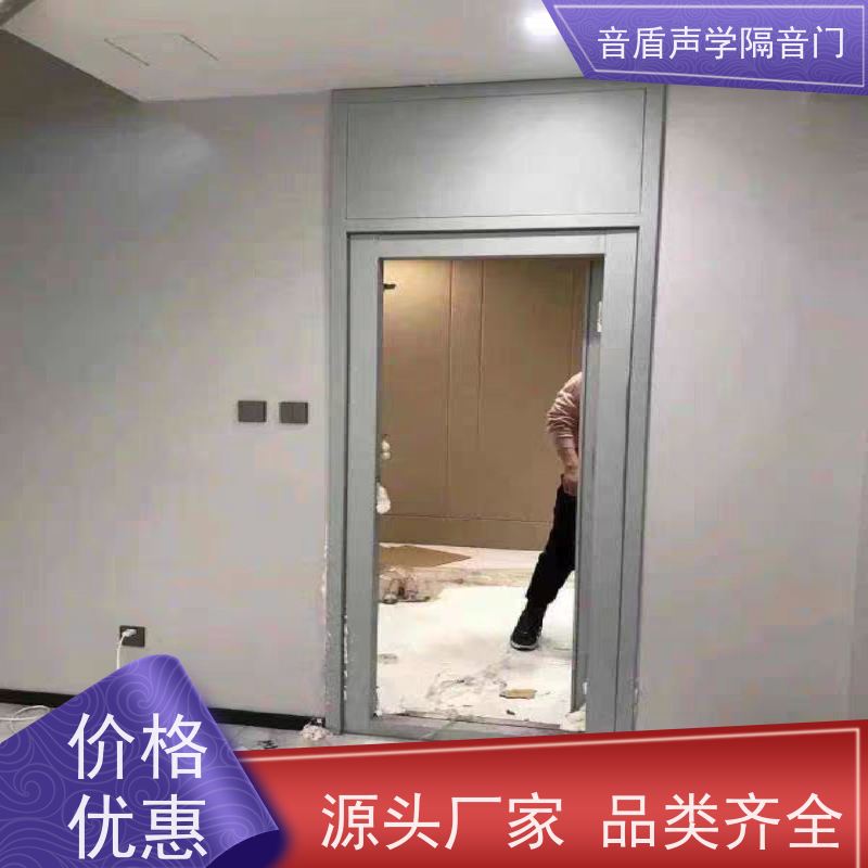 音盾声学 摄影棚 隔音门 品质保证 非标定制生产