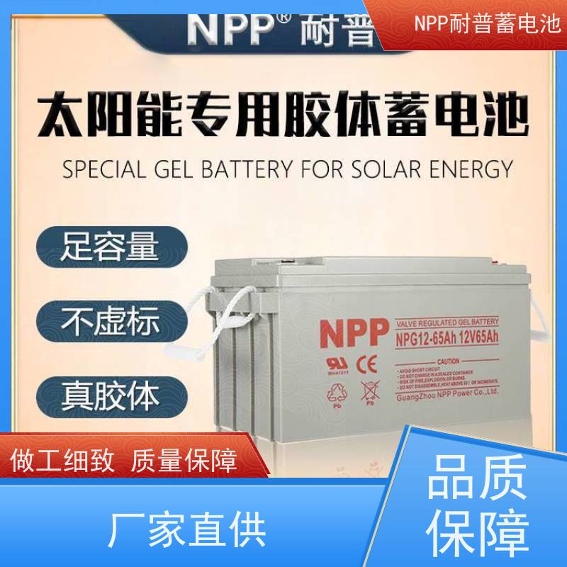 耐普电源 NPG12-200 适用机房储能蓄电 安装维修维护